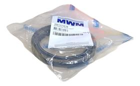 Retentor Dianteiro Virabrequim Mwm X10 X12 229 Td299 Retentor Dianteiro Virabrequim Mwm X10 X12 229 Td299