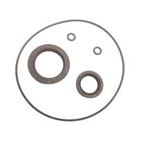 Retentor Kit Reparo Mesa Magneto Honda Biz 100 Es Até 2015