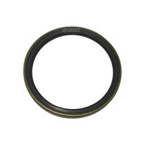 Retentor Traseiro Virabrequim Paa Iveco Eurotech - 98494987