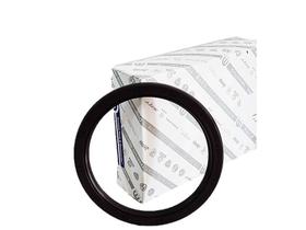 Retentor Traseiro Volante Motor Freemont Toro 2.4 Compass 2.0 Flex