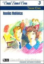 Reuniões Mediúnicas - Coleção Estudos e Cursos - Volume 03 - Allan Kardec