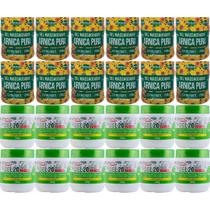 Revenda Atacado 12 Gel Massageador Arnica Pura 200g + 12 Gel 20 Ervas Extra Forte 220g Revenda Atacado 12 Gel Massageador Arnica Pura 200g + 12 Gel 20 Ervas Extra Forte 220g