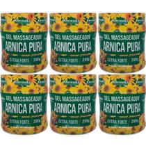 Revenda Atacado 6 Gel Massageador Arnica Pura Extra Forte Revenda Atacado 6 Gel Massageador Arnica Pura Extra Forte