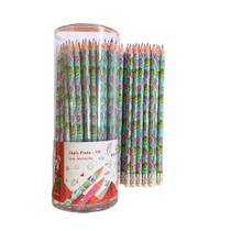 Revenda Pote de Lápis HB Estampado com Borracha e 72 Unidades - Win Paper/ WX Gift