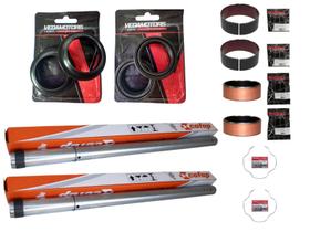 Revisão Completa Bengala Twister Cbx 250 Até 2008 Revisão Completa Bengala Twister Cbx 250 Até 2008