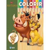 Revista O Rei Leão Para Colorir E Um Avião Montável De Brinquedo