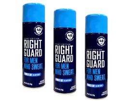 Right Guard Aerosol Antitranspirante em pó seco, pacote com 3 unidades de 170 ml Right Guard Aerosol Antitranspirante em pó seco, pacote com 3 unidades de 170 ml