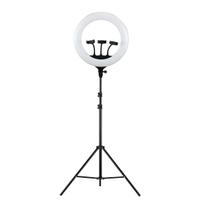 Ring Light LED Bicolor 45cm com Tripé Luz Estúdio 2 Metros - TUDOPRAFOTO