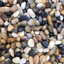 River Rock Stones Voulosimi Natural Decorativo Polido 2 kg