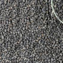 River Rocks Pebbles CJGQ 20,5 kg, pequena decoração de jardim natural River Rocks Pebbles CJGQ 20,5 kg, pequena decoração de jardim natural