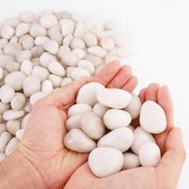 River Rocks WHANLEY L&Q Creme Natural Branco 4,5 kg 2-4 cm