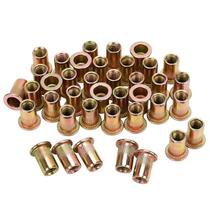 Rivet Nuts PRECIHW M8 de cabeça plana em aço carbono zincado x100