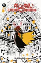 Robin: Menino-Prodígio