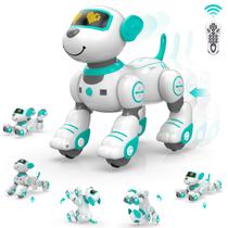 Robô Interativo Programável STEMTRON para Cães e Gatos