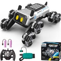 Robot Dog Car SIMREX CR-10 Gesture Sensor Mecanum Wheels