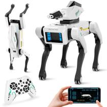 Robot Dog Dingdongwu Shoot Interactive STEM Pet Kids 6+