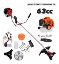 Roçadeira A Gasolina Profissional