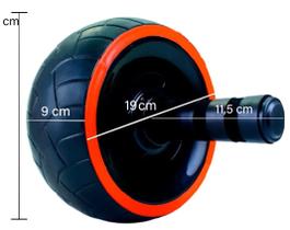 Roda Abdominal Lombar Treinos Academia Exercicios Fitness