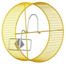 Roda Chinchila Roda Chinchila