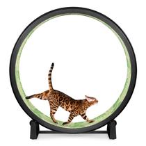 Roda de Exercício para Gatos ONE FAST CAT Gen. 7, 122 cm de diâmetro