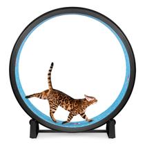 Roda de Exercício para Gatos ONE FAST CAT Gen. 7, Diâmetro de 122 cm
