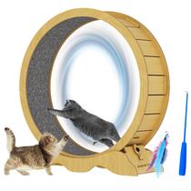Roda de exercícios Cat BURCHLIFE, esteira para gatos que vivem em ambientes fechados