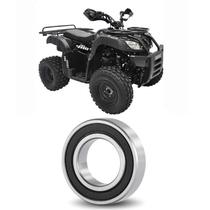 Rolamento Roda Traseira SHINERAY Strong