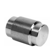 Rolete fixo patim master