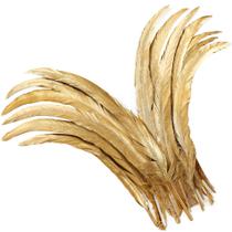 Rooster Tail Feathers Holmgren Gold 60 unidades de 30-35 cm para artesanato