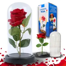Rosa A Bela E A Fera - Pequeno Príncipe Cúpula Presente Led Rosa A Bela E A Fera - Pequeno Príncipe Cúpula Presente Led