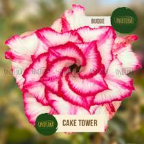 Rosa do deserto buque cake tower flor tripla