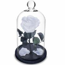 Rosa Encantada a Bela e a Fera na Cúpula de Vidro Branco