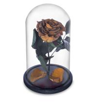 Rosa Encantada a Bela e a Fera na Cúpula de Vidro Cod 00
