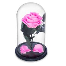 Rosa Encantada a Bela e a Fera na Cúpula de Vidro Cod 01