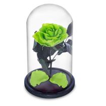 Rosa Encantada a Bela e a Fera na Cúpula de Vidro Cod 07