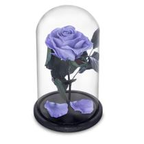 Rosa Encantada a Bela e a Fera na Cúpula de Vidro Cod 10