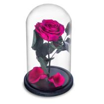 Rosa Encantada a Bela e a Fera na Cúpula de Vidro Cod 11 Rosa Encantada a Bela e a Fera na Cúpula de Vidro Cod 11