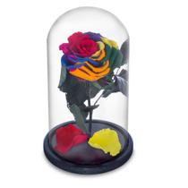 Rosa Encantada a Bela e a Fera na Cúpula de Vidro Cod 18