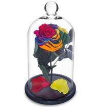 Rosa Encantada a Bela e a Fera na Cúpula de Vidro Multicolor