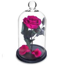 Rosa Encantada a Bela e a Fera na Cúpula de Vidro Rosa Encantada a Bela e a Fera na Cúpula de Vidro