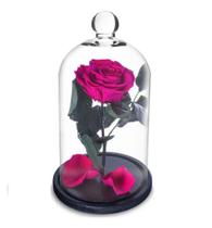 Rosa Encantada a Bela e a Fera na Cúpula de Vidro Pink