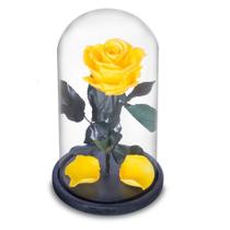 Rosa Encantada Eterna Preservada Box Luxo na Cúpula de Vidro
