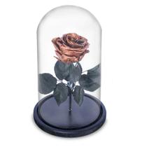 Rosa Encantada Eterna Preservada na Cúpula de Vidro