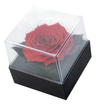 Rosa Encantada Preservada Vermelha Presente caixa Acrilica Rosa Encantada Preservada Vermelha Presente caixa Acrilica