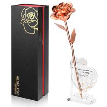 Rosa Infinita Anthonic banhada a ouro e preservada em resina Rosa Infinita Anthonic banhada a ouro e preservada em resina