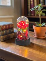 Rosa Na Cúpula Led Luminária Redoma Encantada Rosa Vermelha