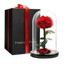 Rosa preservada LOVAPPY Forever em cúpula de vidro vermelha de 23 cm