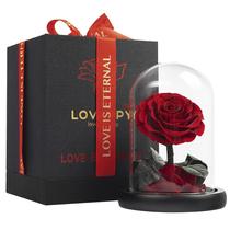 Rosa Preservada LOVAPPY Infinity Vermelha 16,5 cm com Cúpula de Vidro