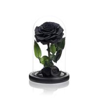 Rosa preservada NATROSES preta para mãe em cúpula de vidro Rosa preservada NATROSES preta para mãe em cúpula de vidro