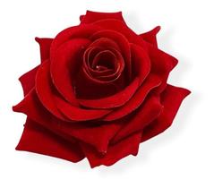 Rosa Presilha De Cabelo Aveludada Acessório Cigano Vermelha